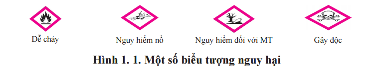 so20tay20y20te